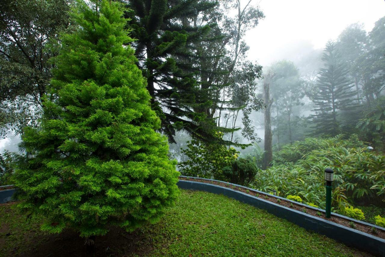 Bracknell Forest Munnar Bagian luar foto
